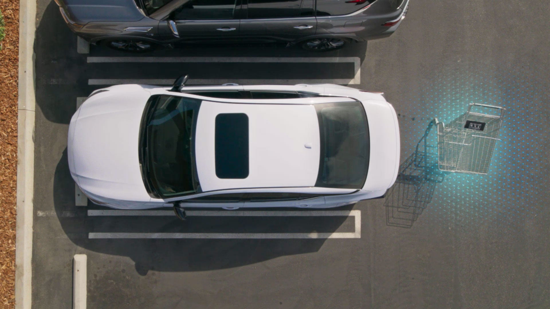 2026 Nissan Altima | Jackson Nissan in Jackson, MI